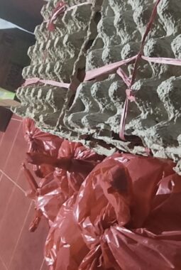 Paulus Tamur Bawa Bantuan Demokrat ke Rengkam, 70 Warga Terdampak Gempa Jadi Sasaran